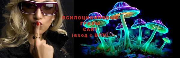 Альфа ПВП Алзамай