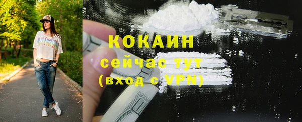 молекула духа Арсеньев