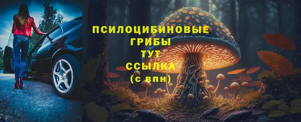 Альфа ПВП Алзамай