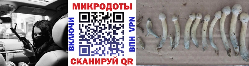 Купить  Гусь-Хрустальный  Псилоцибиновые грибы мухоморы 